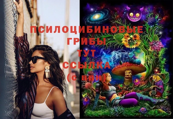 марки lsd Горнозаводск