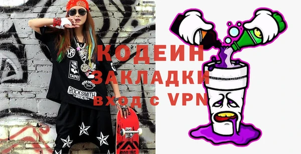 индика Мегион