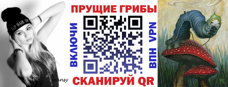 Галлюциногенные грибы Psilocybine cubensis Дальнереченск