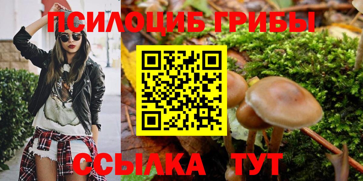 Псилоцибиновые грибы прущие грибы  Вход с VPN  Дальнереченск 