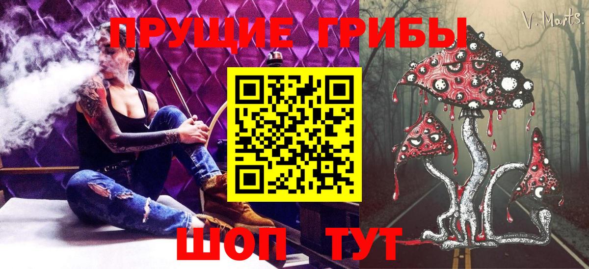 Псилоцибиновые грибы мицелий Дальнереченск